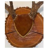 Antler Mount 2