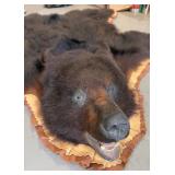 BEAUTIFUL!  5 1/2 foot Taxidermy Black Bear Rug
