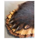 BEAUTIFUL!  5 1/2 foot Taxidermy Black Bear Rug