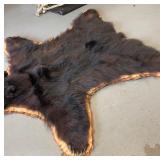 BEAUTIFUL!  5 1/2 foot Taxidermy Black Bear Rug