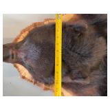 BEAUTIFUL!  5 1/2 foot Taxidermy Black Bear Rug
