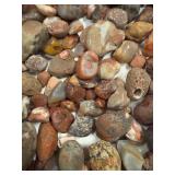 LARGE AND UNSEARCHED RAW Agate and Geode / Nodule lot 1