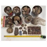 LARGE AND UNSEARCHED Raw Agate and Geode / Nodule lot 3