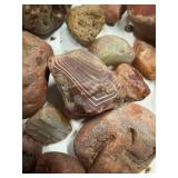 LARGE AND UNSEARCHED Raw Agate and Geode / Nodule lot 3