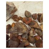 LARGE AND UNSEARCHED Raw Agate and Geode / Nodule lot 3