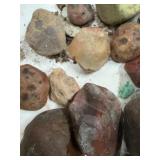 LARGE AND UNSEARCHED Raw Agate and Geode / Nodule lot 3