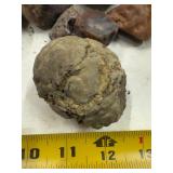 LARGE AND UNSEARCHED Raw Agate and Geode / Nodule lot 4