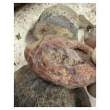 LARGE AND UNSEARCHED Raw Agate and Geode / Nodule lot 4