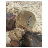 LARGE AND UNSEARCHED Raw Agate and Geode / Nodule lot 4