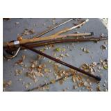 Walking Stick and Canes
