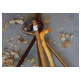 Walking Stick and Canes
