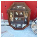 Unique Glass Vases, Shell Collection in Cabinet, Betta Double Tank, Glass Fish Bowl of Shells