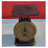 Vintage Warranted Family Scale