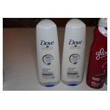 Dove Conditioner, Argan Oil of Morocco Shampoo, Gillette Anti-Perspirant, Glade Air Freshener