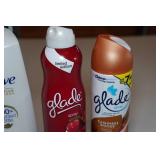 Dove Conditioner, Argan Oil of Morocco Shampoo, Gillette Anti-Perspirant, Glade Air Freshener