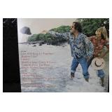 Collection of 8 Classic Vinyl Records Carpenters Captain & Tennille Village People