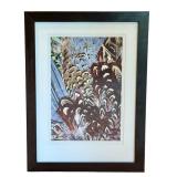 Framed David Matthew Photographic Print of Pheasant Feathers