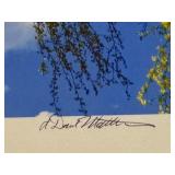 LLSTR- Framed Artisan Photographic Print by David Matthew 