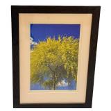 LLSTR- Framed Artisan Photographic Print by David Matthew 