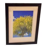 LLSTR- Framed Artisan Photographic Print by David Matthew 