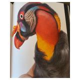 D - BIRDS by Tim Flach Photography Book