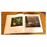 LLO - Collection of 4 Minnesota Nature Photography Books by Craig Blacklock including Book Blacklock Minnesota