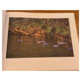 LLO - Brother Wolf and Chased by the Light by Jim Brandenburg - Set of 2 Hardcover Books