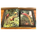 LLO - Chihuly Garden Installations Hardcover Photography Book 2011