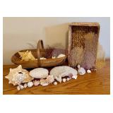 LL - Seashells, Coral, and Sea Fan Collection with Two Woven Baskets
