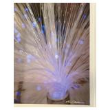 LLO - David Mathew Framed Photographic Print