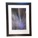 LLO - David Mathew Framed Photographic Print