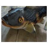 Fish Décor 14 x 10"...