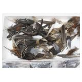 Fur Tails & Feathers