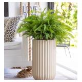 42 in Nearly Natural Artificial Fern Floor Plant with Ribbed Planter 24 in height