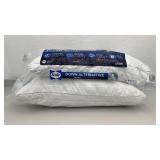 Sealy Sterling Collection Down Alternative King Pillows 2-Pack
