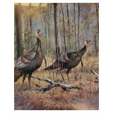 Hardwood Monarchs Limited Edition Framed Print by N.C. Miller Jr.