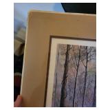 Hardwood Monarchs Limited Edition Framed Print by N.C. Miller Jr.