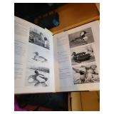 Wildlife 750 Piece Jigsaw Puzzle and Duck Stamps and Prints Book Set