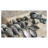 Large Collection of Duck Hunting Decoys Mixed Sizes and Styles