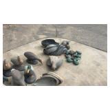 Large Collection of Duck Hunting Decoys Mixed Sizes and Styles