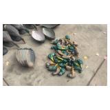 Large Collection of Duck Hunting Decoys Mixed Sizes and Styles