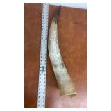 Decorative Natural Steer Horn 27 Inches