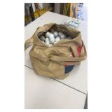 Large Collection of Mixed Golf Balls with Carry Bag