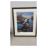 Wood Duck Reflections Framed Print by David A. Maass