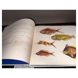 Tropical Fishes of the East Indies by Samuel Fallours
