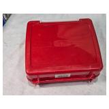 Various Vintage Lunchboxes Including Pound Puppies with Thermos, Nosy Bears, Looney Tunes and It