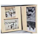 Vintage Cardboard General Store Box with Horse Figurines, Old Horse Scrapbook, and Table Runner