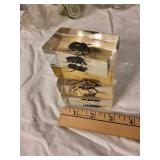 Set of 4 Insect Specimen Paperweights: Beetle, Spider, Ant, Cricket