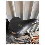 Raliegh Gruv 2.0 Cruiser Bicycle