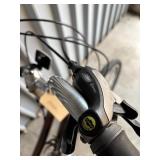 Raliegh Gruv 2.0 Cruiser Bicycle